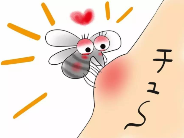多少只蚊子才能把人吸血吸死?|成都灭虫公司